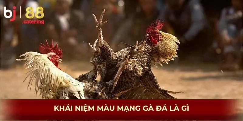 Khái niệm màu mạng gà đá gà gì